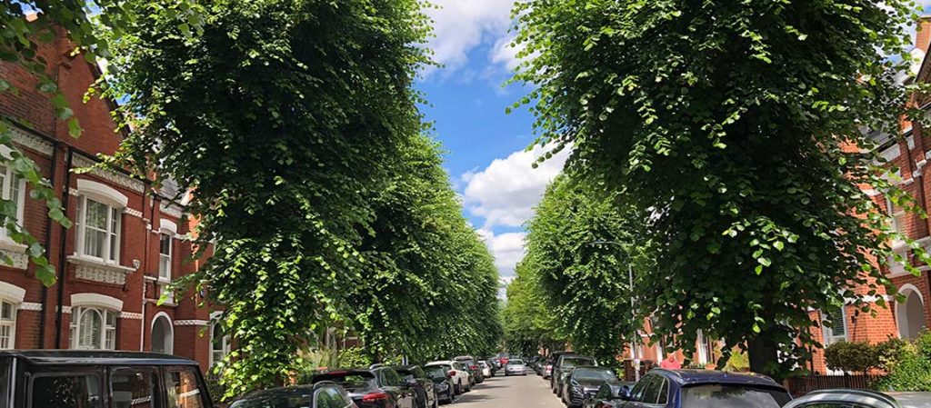 A street popular with London property finders