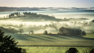 Photo of Surrey Hills with fog